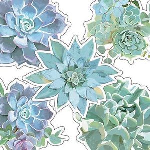 Meet your Posher, Evelyn